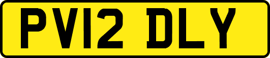 PV12DLY