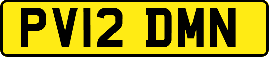 PV12DMN