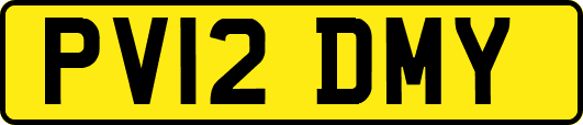 PV12DMY