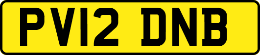 PV12DNB
