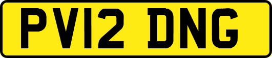 PV12DNG