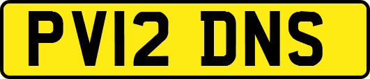 PV12DNS
