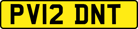 PV12DNT