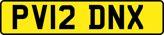 PV12DNX