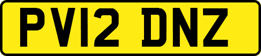 PV12DNZ