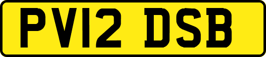 PV12DSB