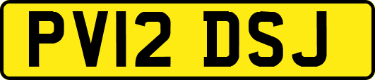 PV12DSJ