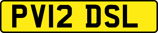 PV12DSL