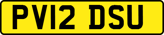 PV12DSU