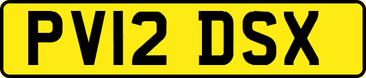 PV12DSX