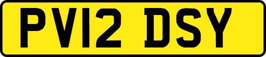 PV12DSY