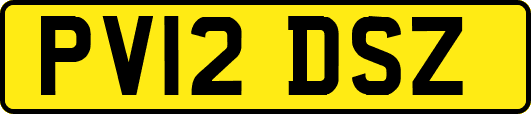 PV12DSZ