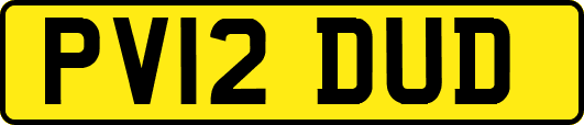 PV12DUD