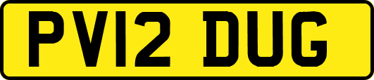 PV12DUG