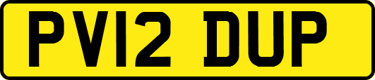 PV12DUP