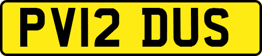 PV12DUS