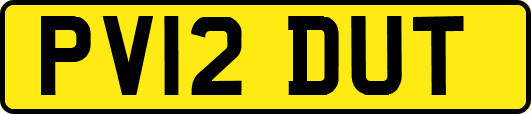 PV12DUT
