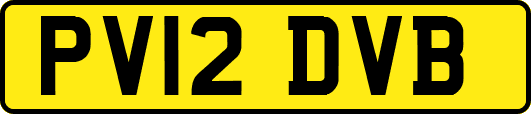 PV12DVB
