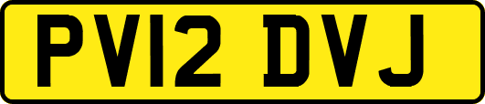 PV12DVJ