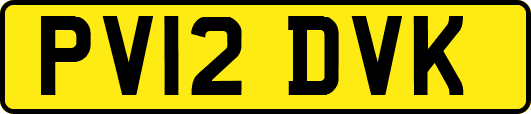 PV12DVK