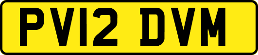 PV12DVM
