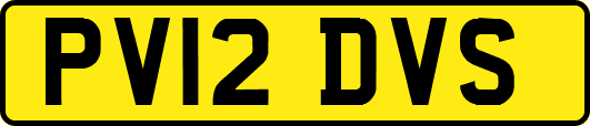 PV12DVS