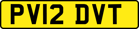 PV12DVT