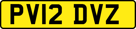 PV12DVZ