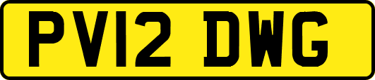 PV12DWG