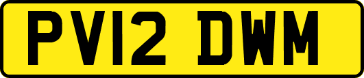 PV12DWM