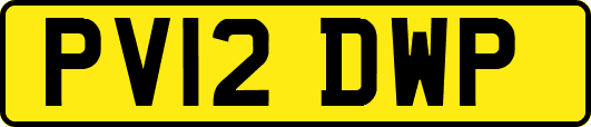 PV12DWP
