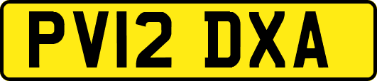 PV12DXA