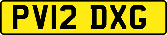 PV12DXG