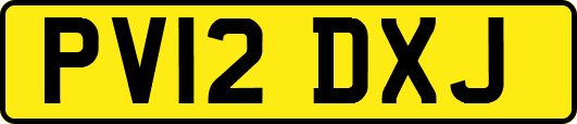 PV12DXJ