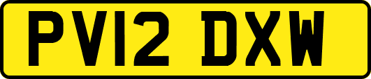 PV12DXW