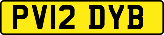 PV12DYB