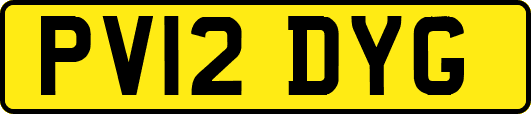 PV12DYG