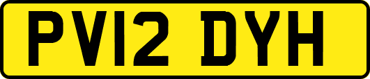 PV12DYH