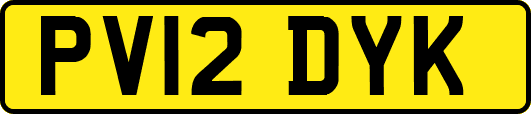 PV12DYK
