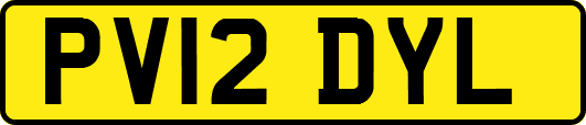 PV12DYL