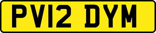 PV12DYM