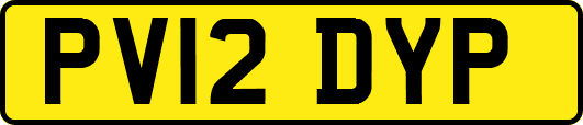 PV12DYP