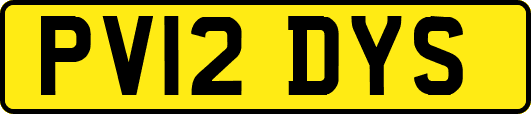 PV12DYS