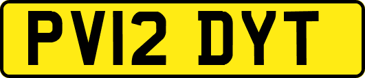 PV12DYT