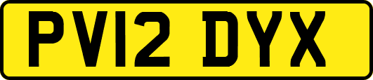 PV12DYX