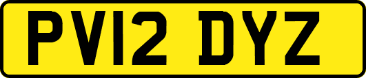PV12DYZ