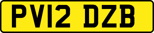 PV12DZB