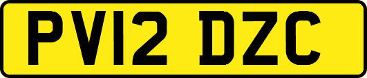 PV12DZC