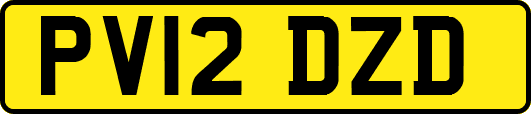 PV12DZD