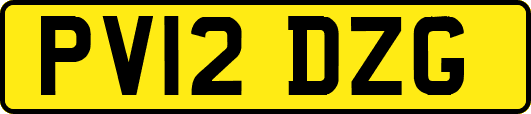 PV12DZG